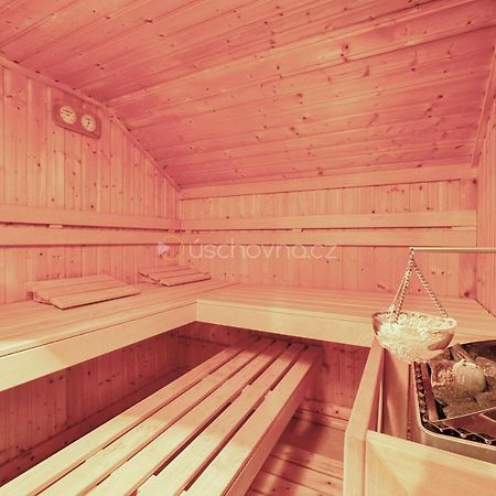 マリアーンスケー・ラーズニェ Wellness House Ladova Streetヴィラ エクステリア 写真